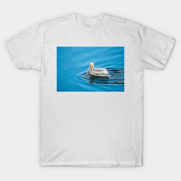 American White Pelican Fishing Alone by Debra Martz T-Shirt by Debra Martz